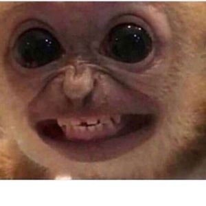 Meet your Posher, Devin